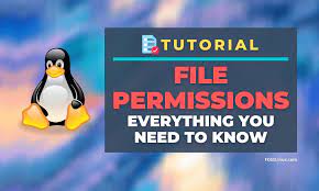 File Permissions and Access Control Lists