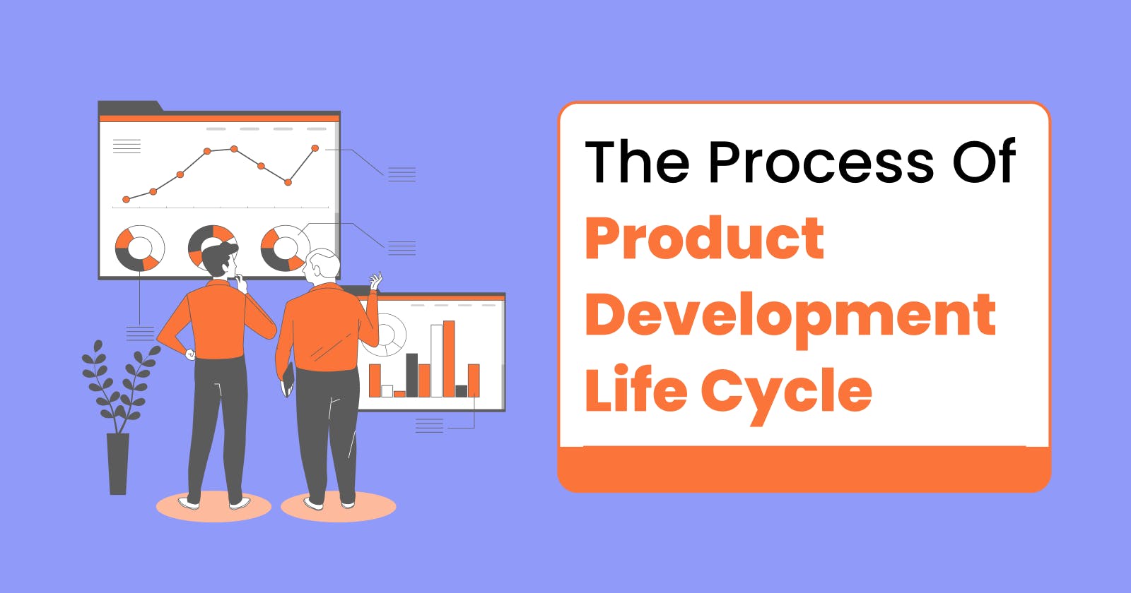 The Step By Step Process Of Product Development Life Cycle: A Practical Guide