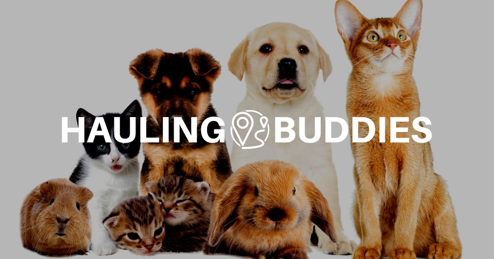 Secure and Affordable Pet Transport with Hauling Buddies