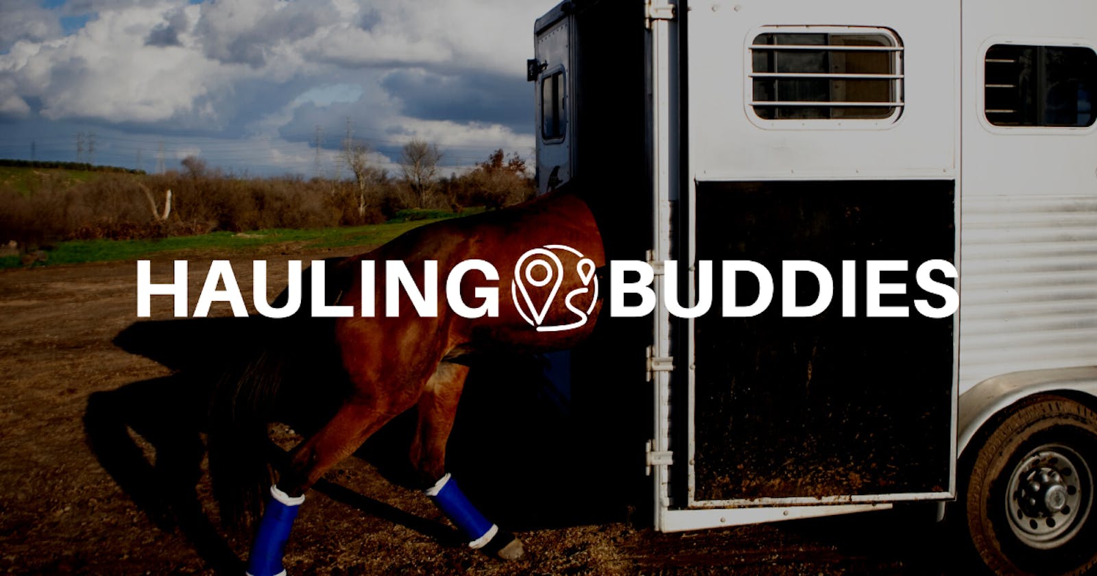 How to Choose the Right Horse Transport Company: Tips and Guidelines from Hauling Buddies