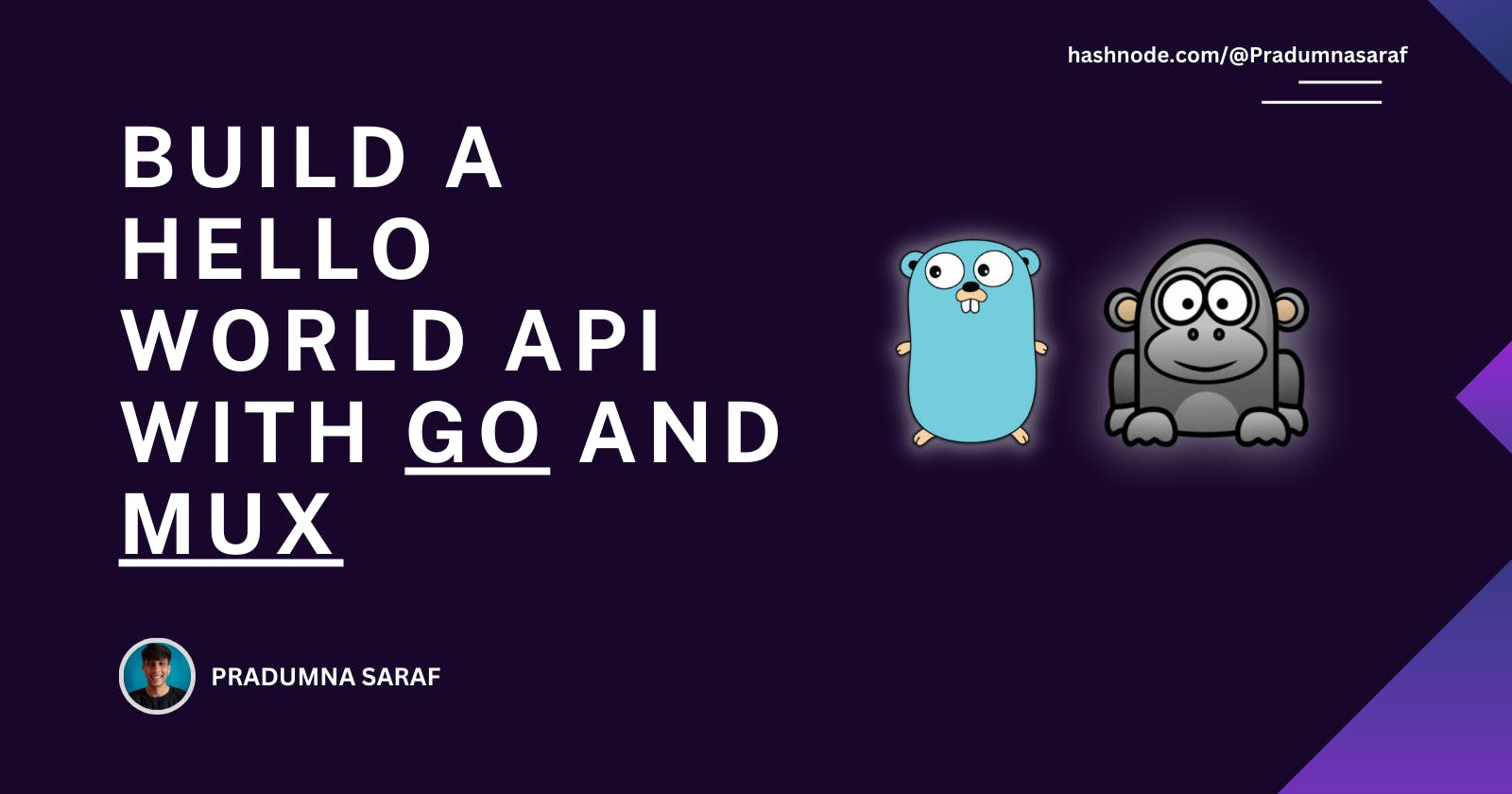 Build a Hello World API with Go and Mux