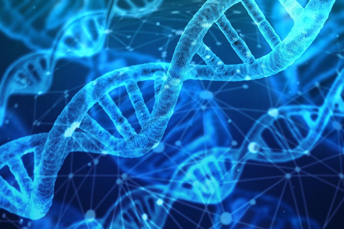 intro: From DNA to Protein