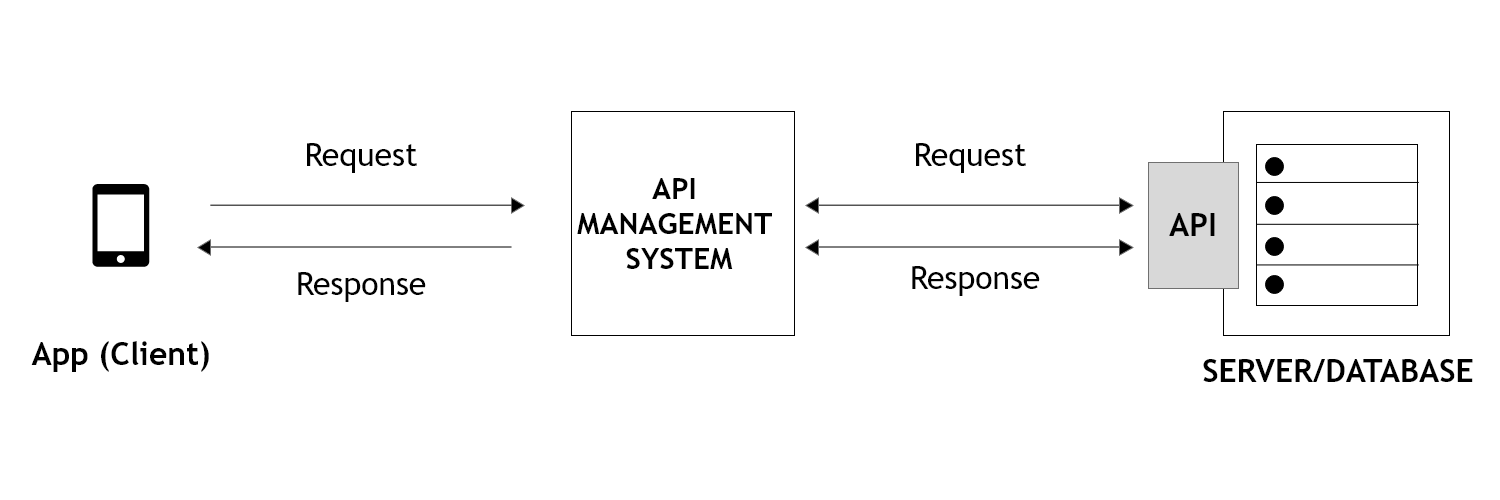 Illustration to show how an API works.