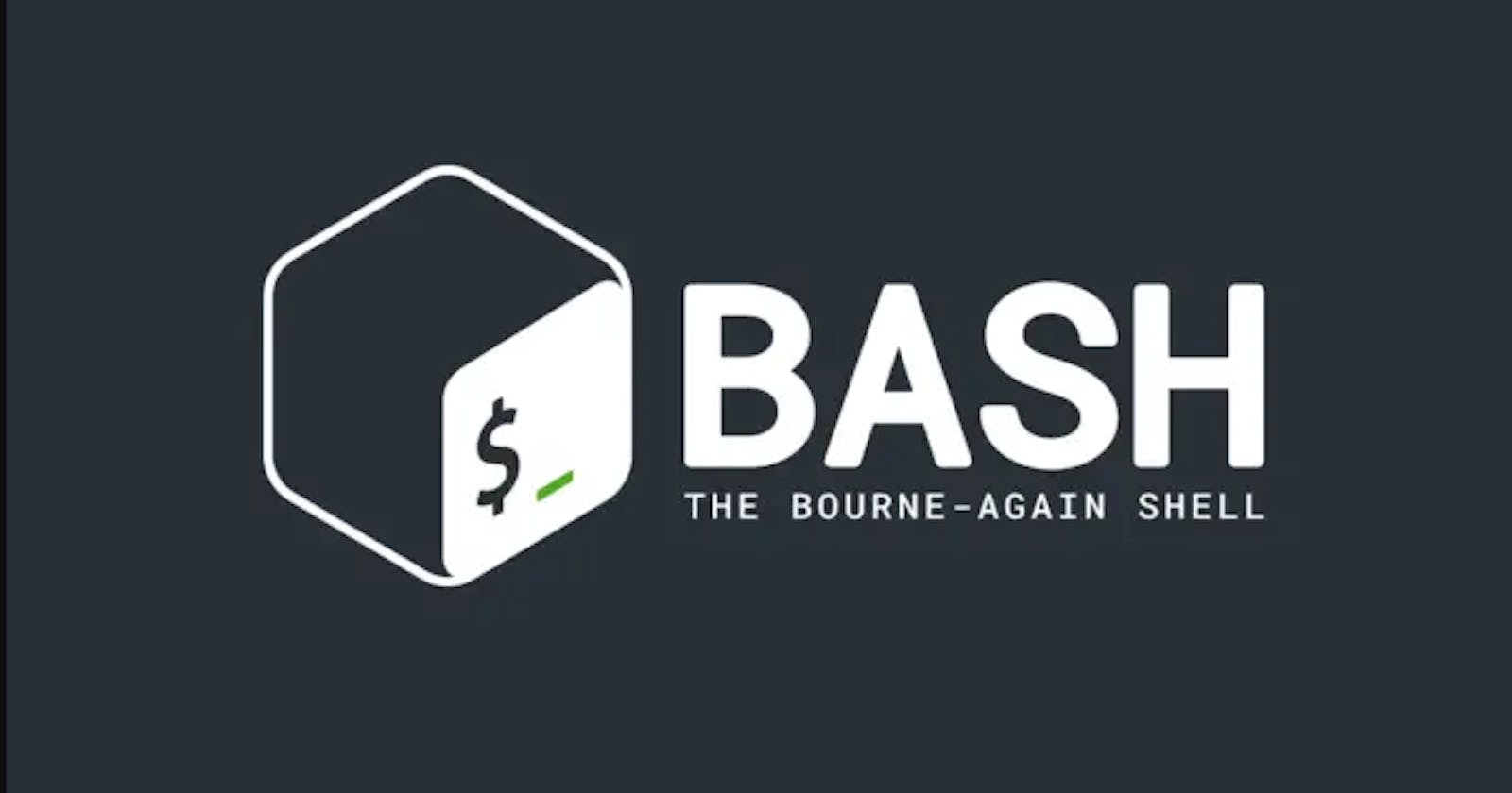 Understanding BASH Command Line