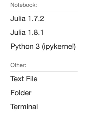 Image of the list of Notebooks available on IJulia