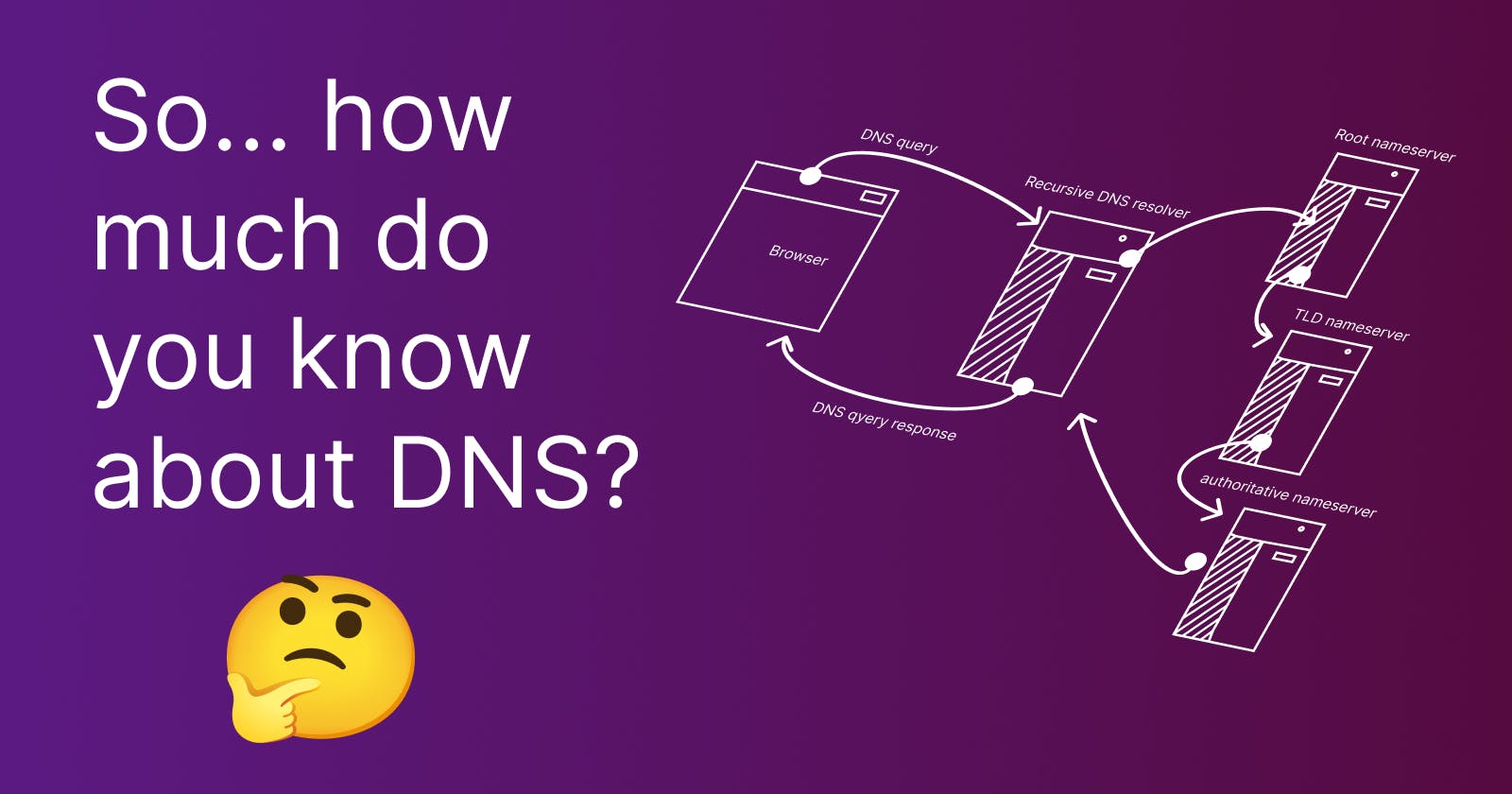 A general overview of the DNS