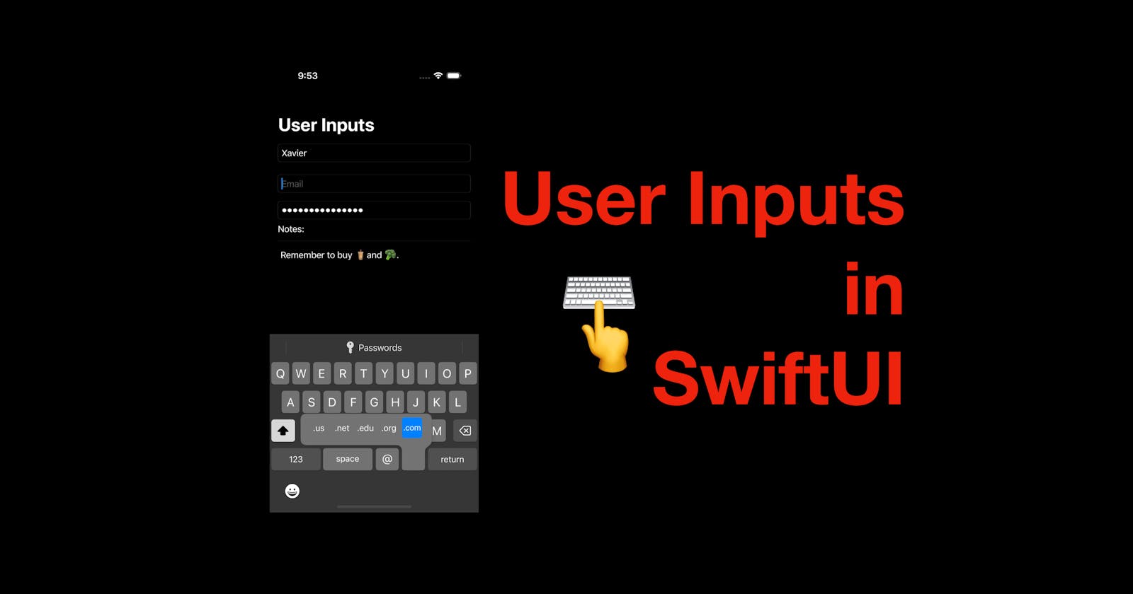 User Inputs in SwiftUI