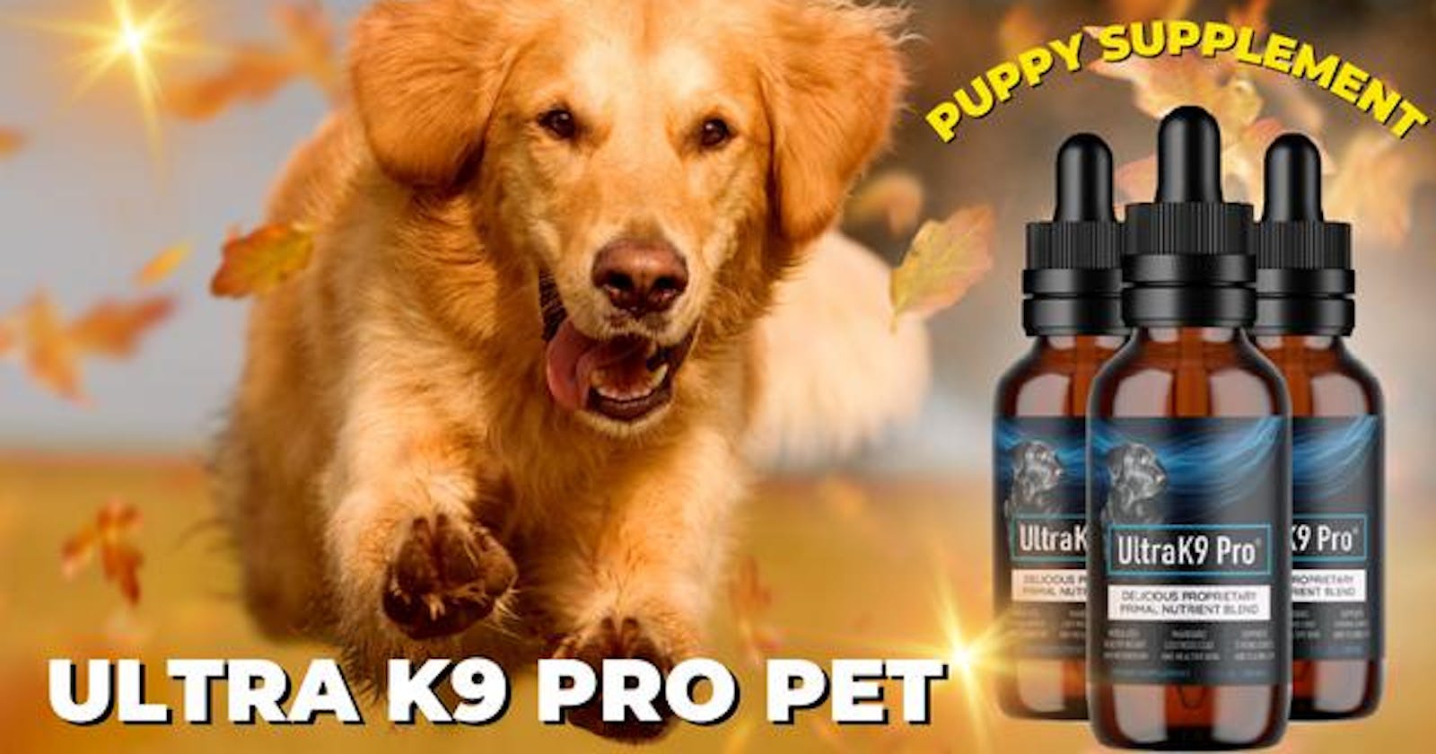 Ultra K9 Pro - Results, Reviews, Pros, Cons, Price, Scam Or Legit?