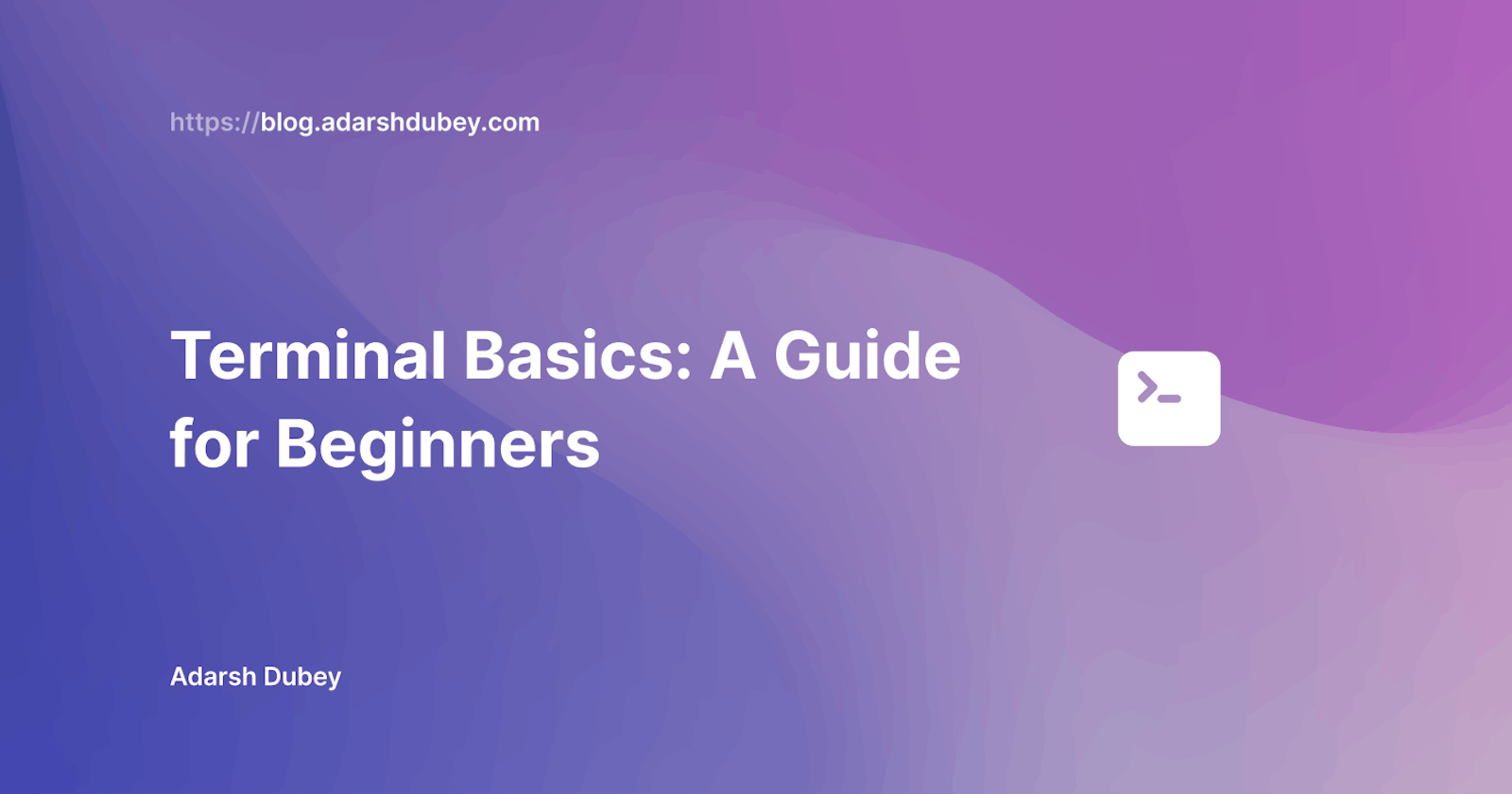 Terminal Basics: A Comprehensive Guide for Beginners