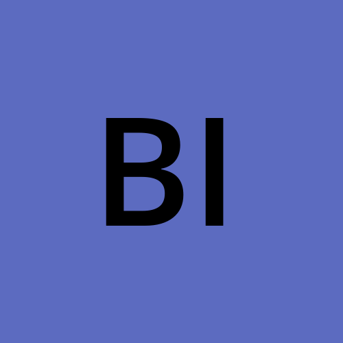 Brainy Insights