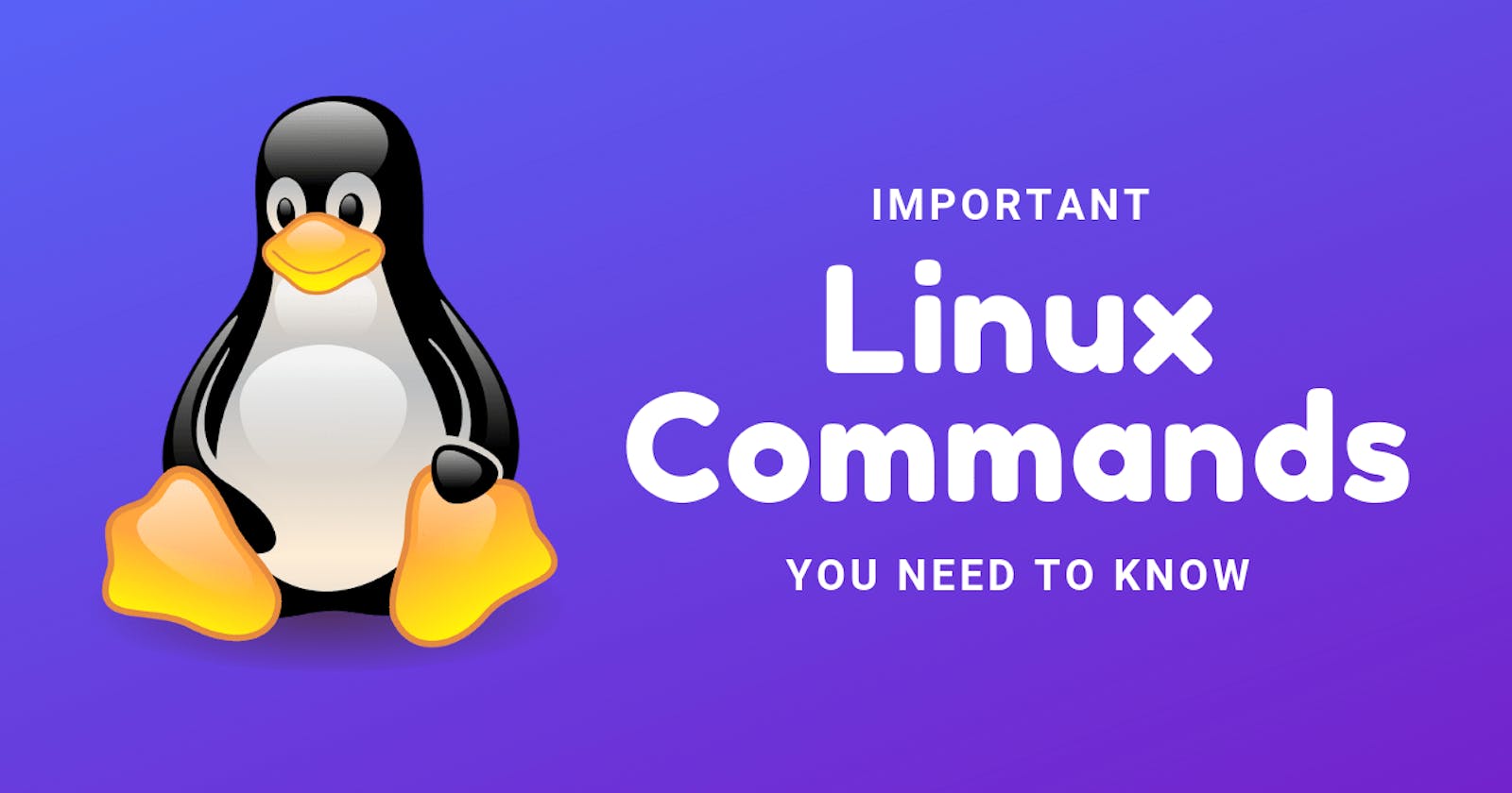 Mastering Basic Linux Commands: