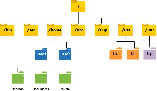 #2 Navigating Linux with Ease: An Introduction to Basic Commands - part 1