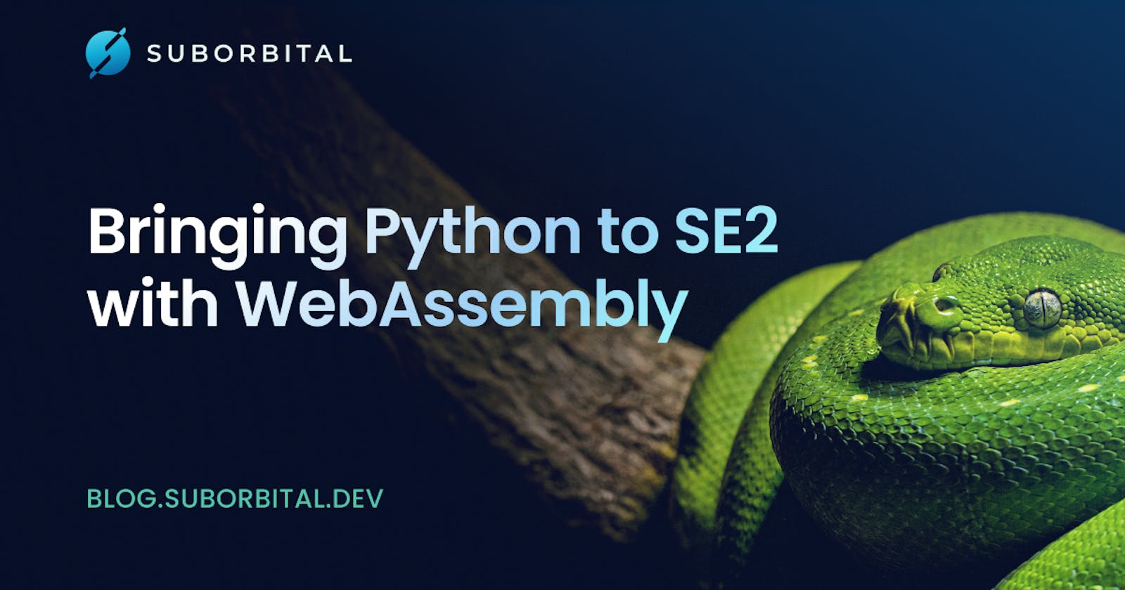 Bringing Python to SE2 with WebAssembly
