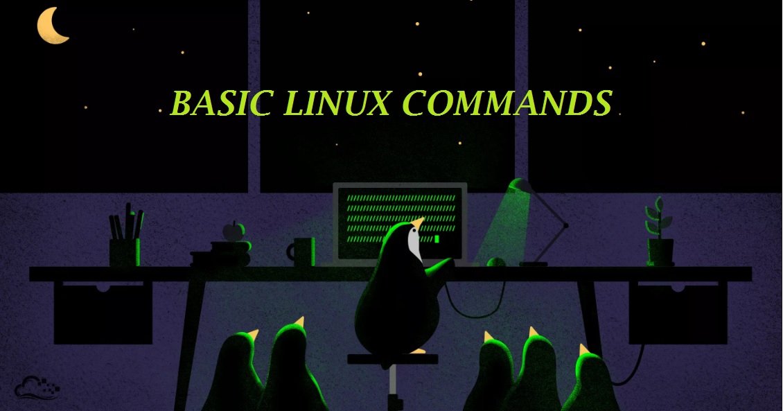 Basic Linux Commands