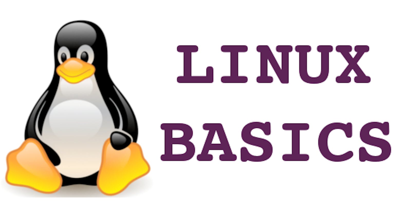 Basic Linux Commands: Day-3