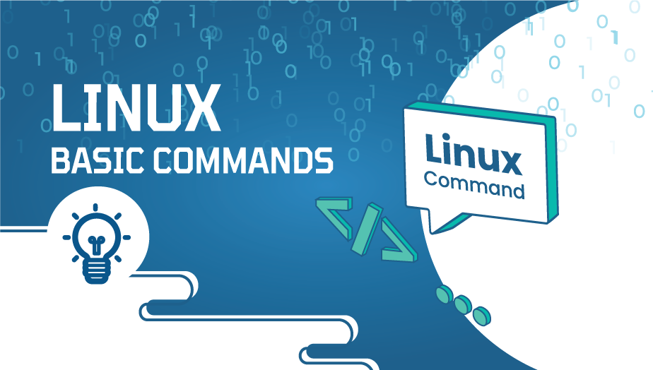 Day 3 - Basic Commands of Linux