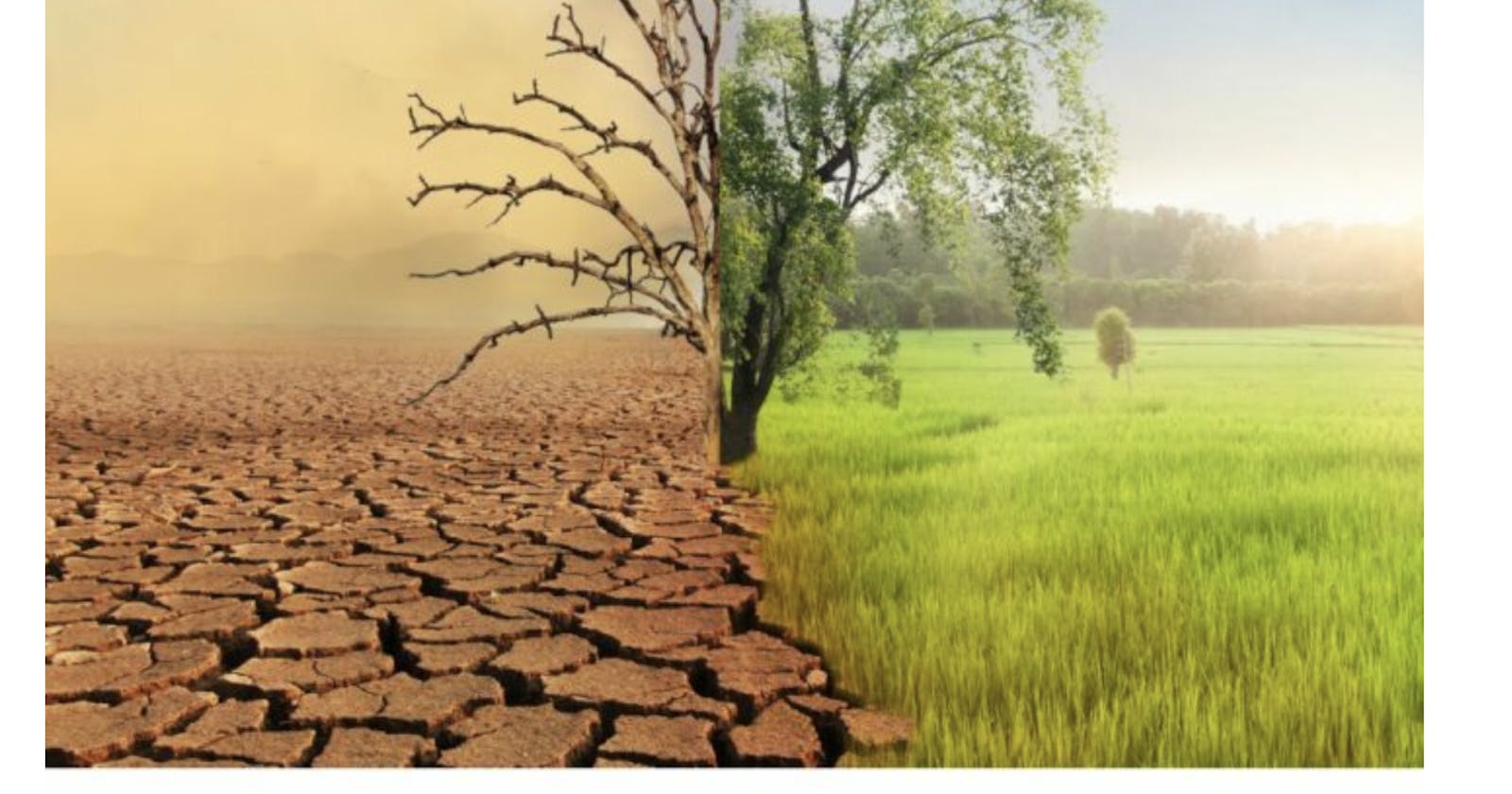 5 Interactive Climate Change Education Tools to Wow Your Students (External link)