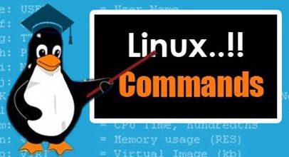 Day 4 - Basic Commands of Linux (cp, rm, mv)