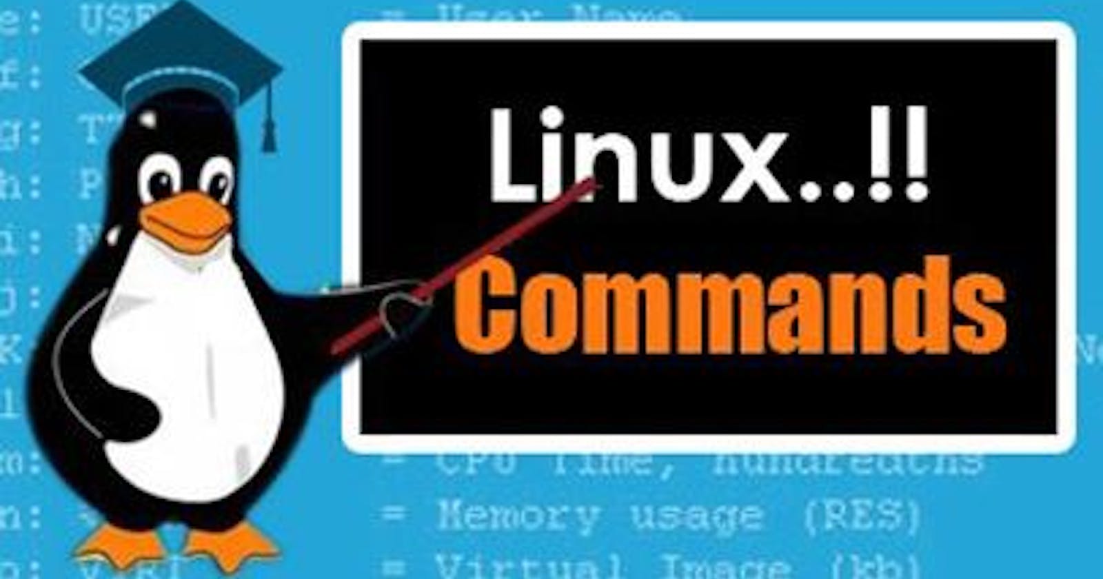 Day 4 - Basic Commands of Linux (cp, rm, mv)
