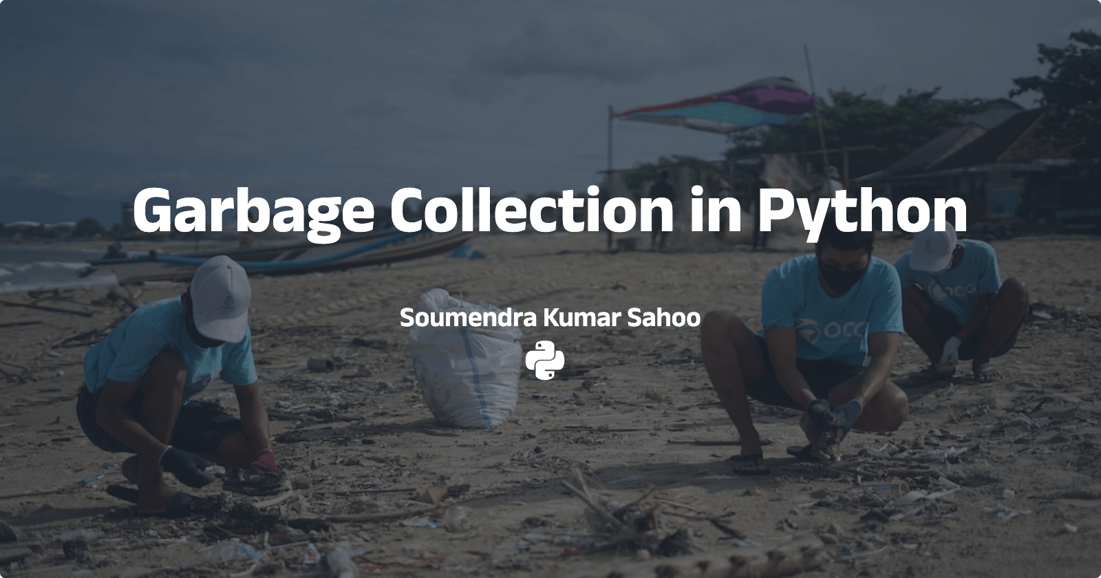 Garbage Collection in Python