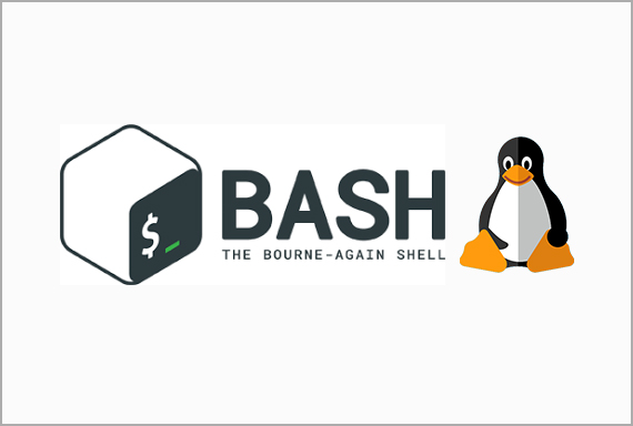 Basic Linux Shell Scripting