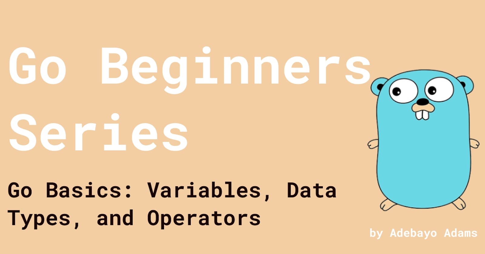 Go Beginners Series: Variables, Data Types, and Operators