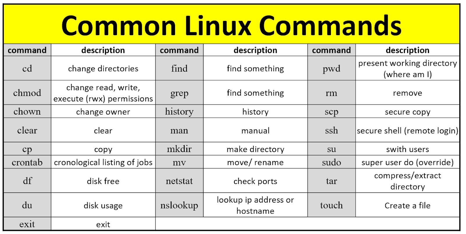 Title: 10 Basic Linux Commands Every Beginner Should Know
