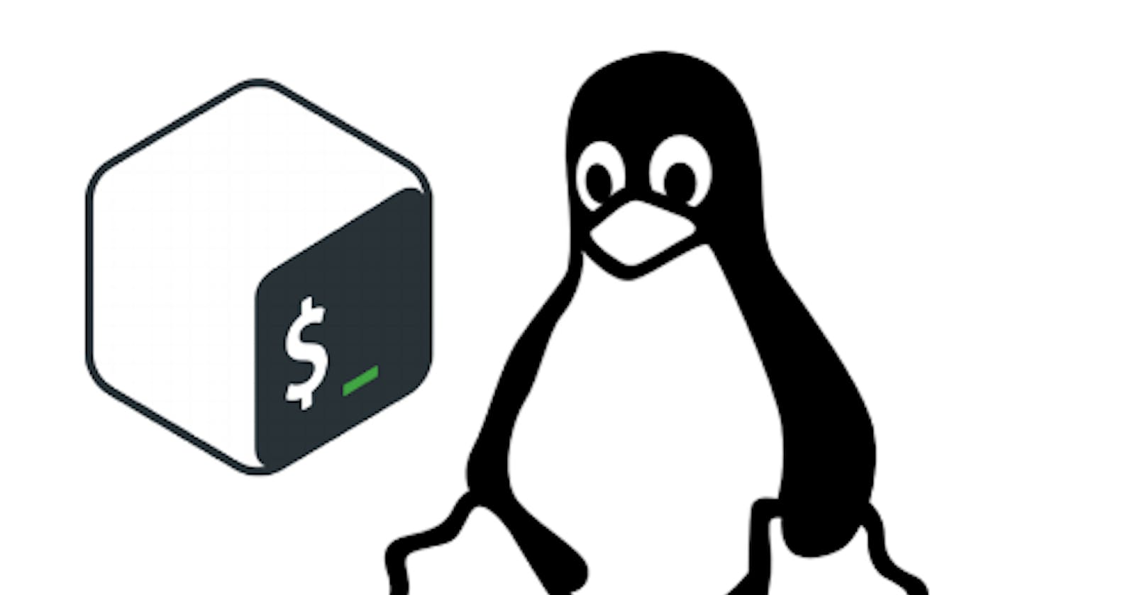 Fundamental knowledge of Linux shell scripting  for DevOps engineers.