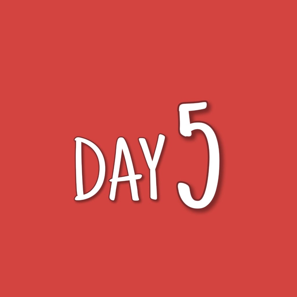 DAY-5 Advanced Linux Shell Scripting for DevOps Engineers with User management