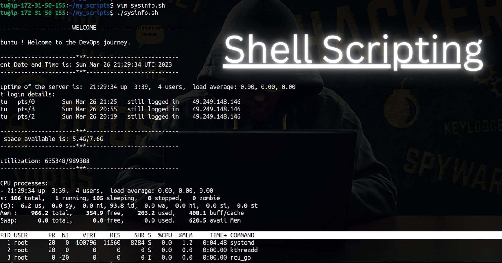 Shell Scripting mini project.