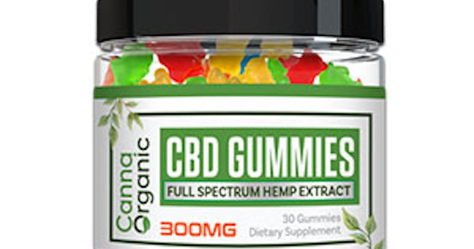 Elevate Your Wellness Routine with Canna Organic CBD Gummies