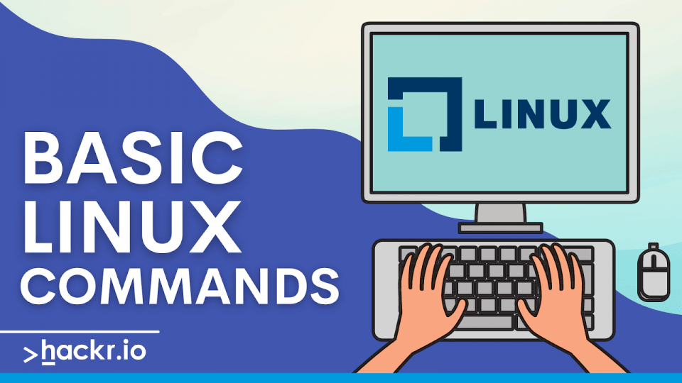Some More Basic Linux Commands :