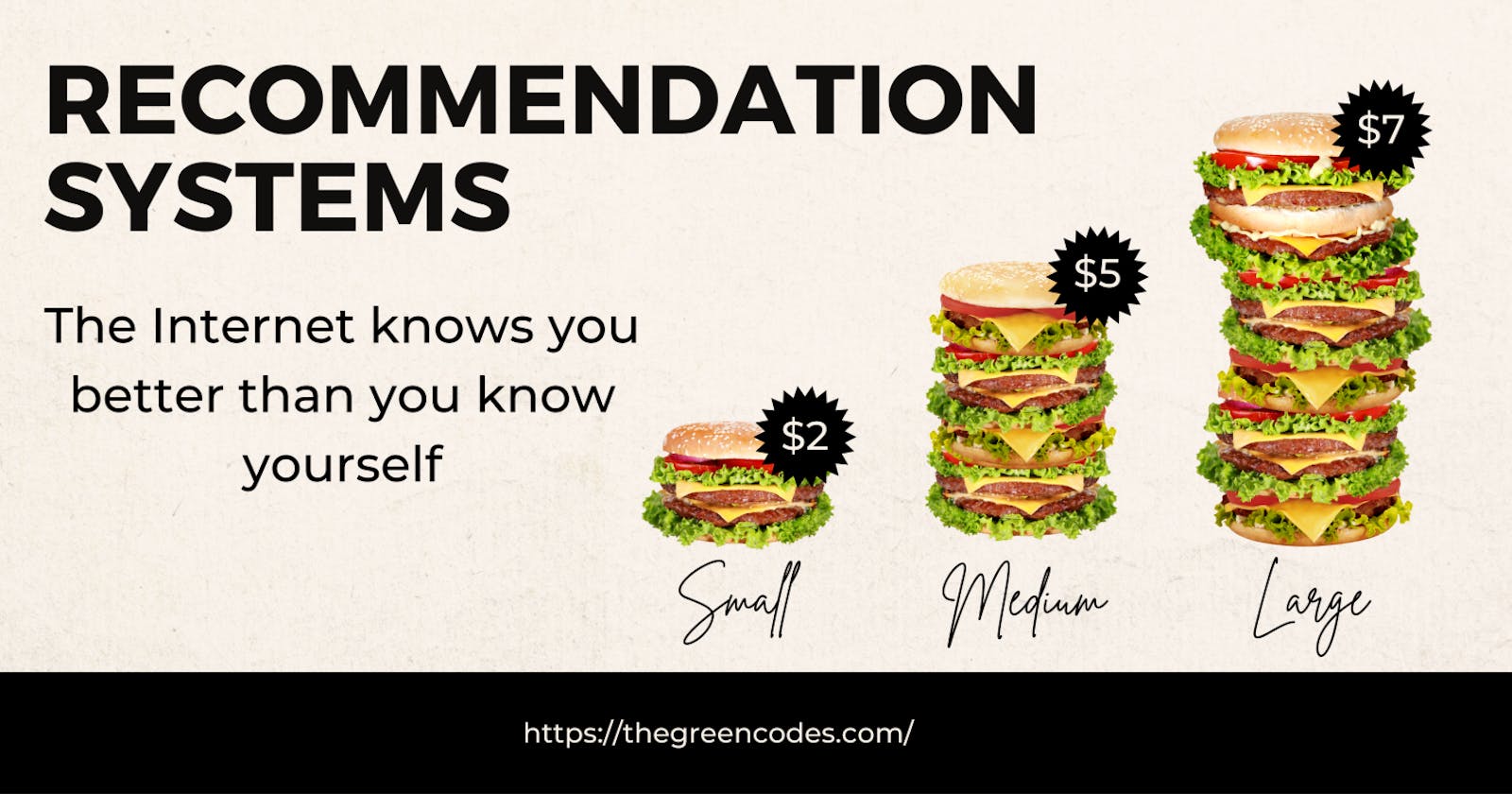 Recommendation systems on the web