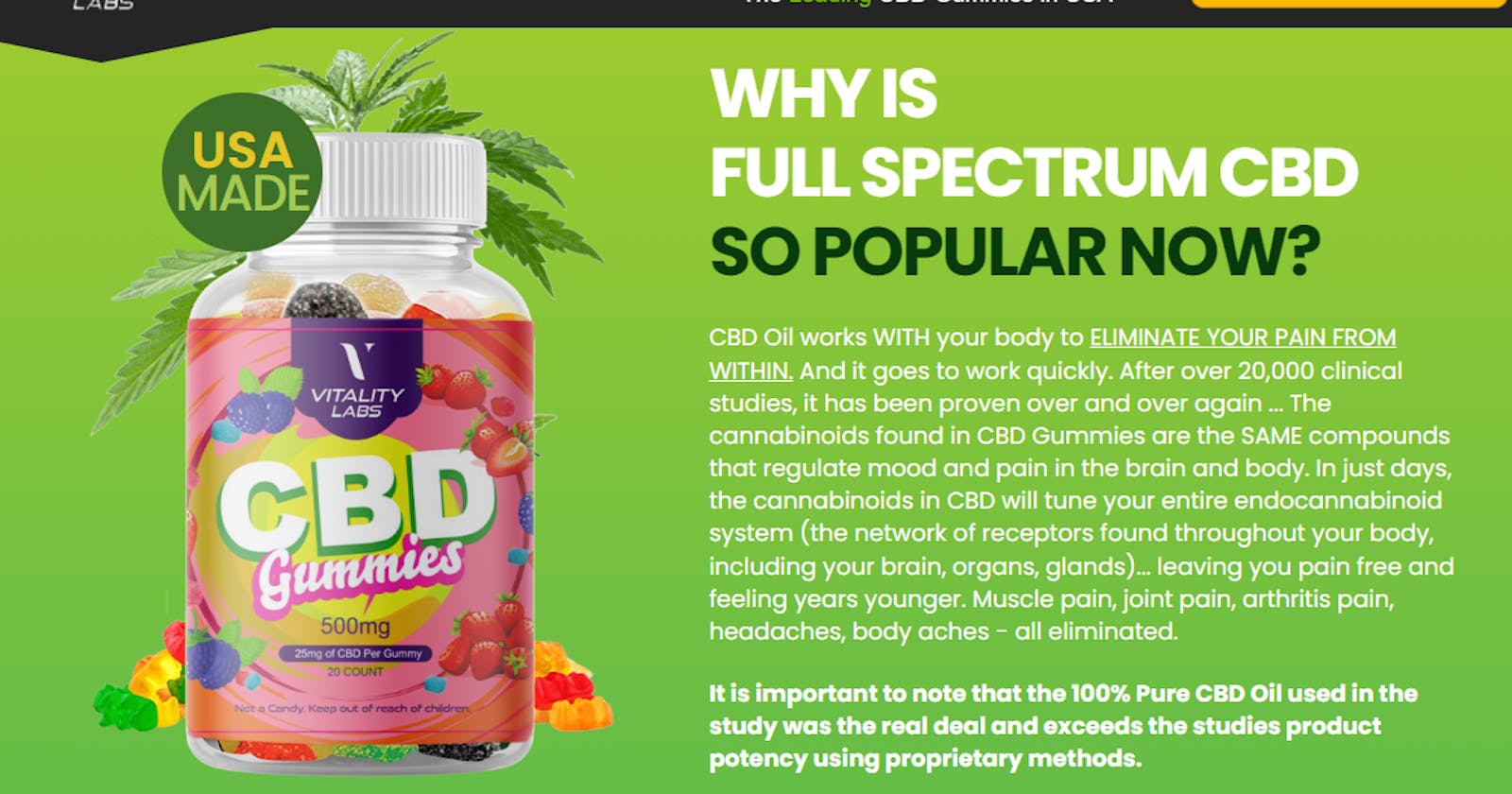 Why Vitality Labs CBD Gummies are a Great Option for Your Wellness Routine?