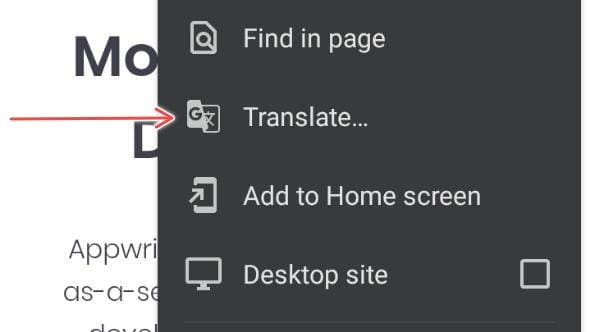 Google Chrome Translate option