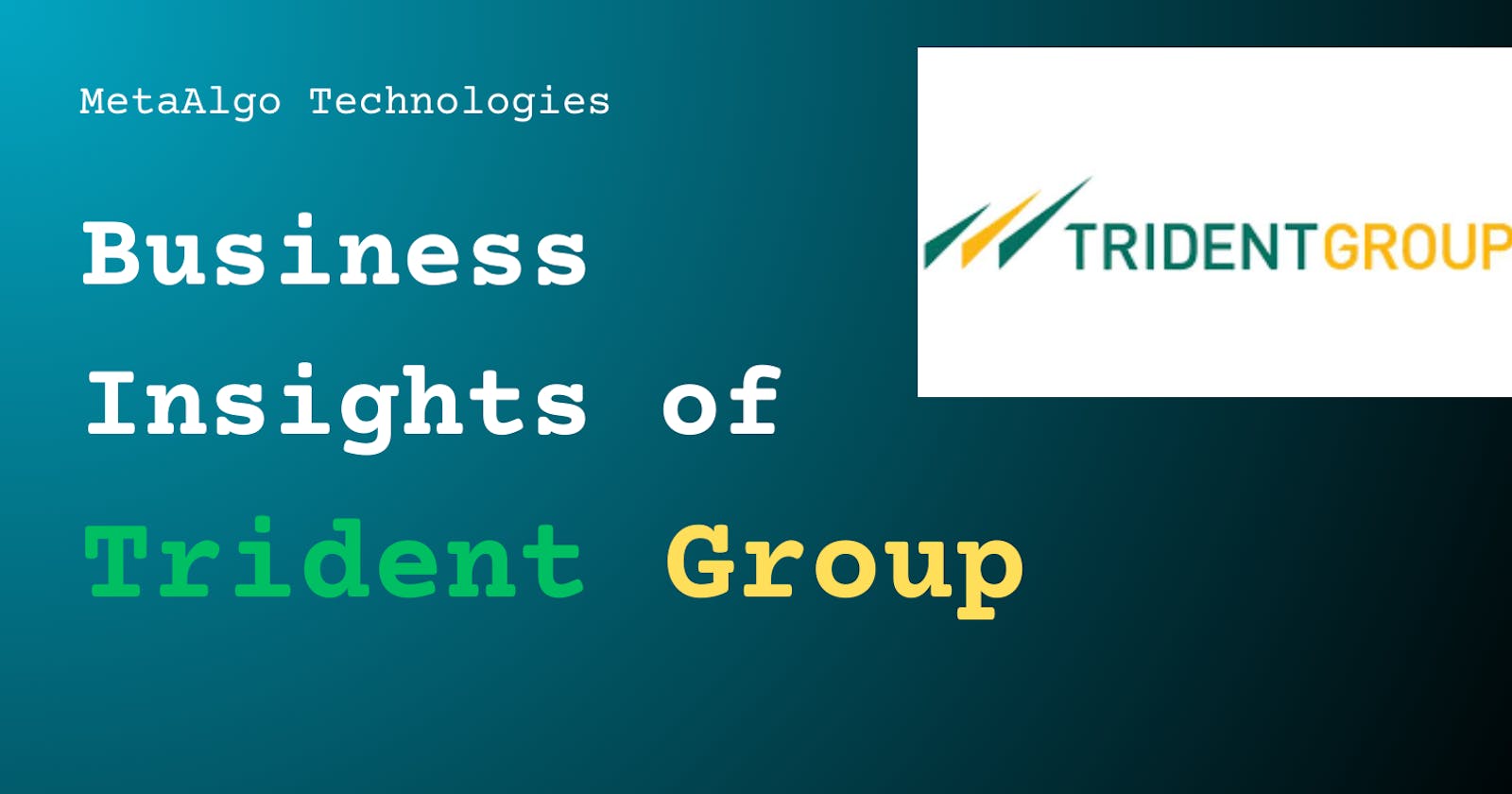 Business insights of Trident Group