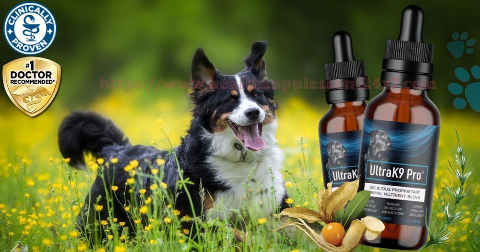 UltraK9 Pro {Clinically Proven} Provide Healthy And Energetica Life To Your Dogs Best Friend(Work Or Hoax)