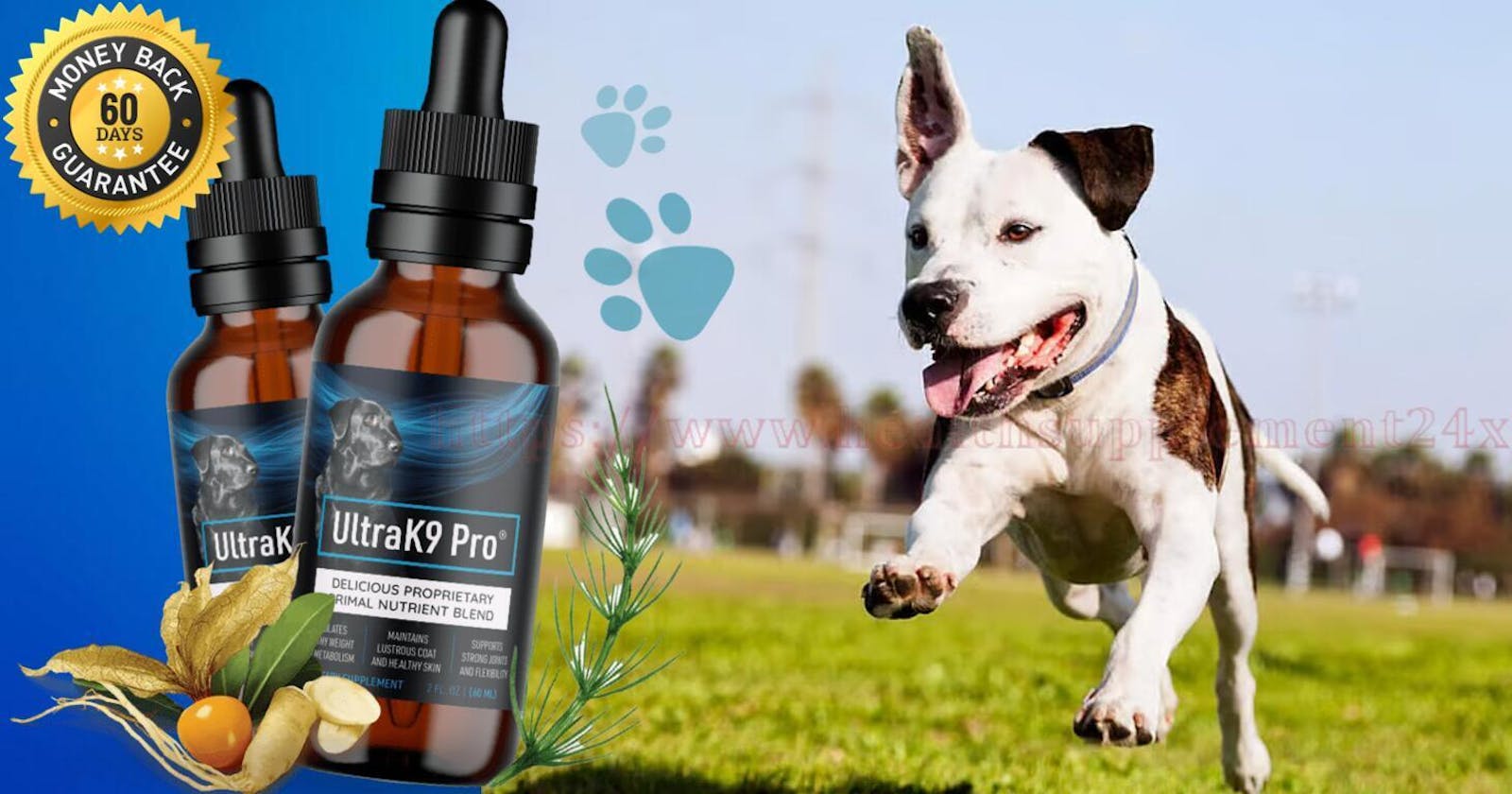 UltraK9 Pro Support A Healthy Happy Dog Enjoying Improved Digestion Advantages, Where To Buy(Spam Or Legit)