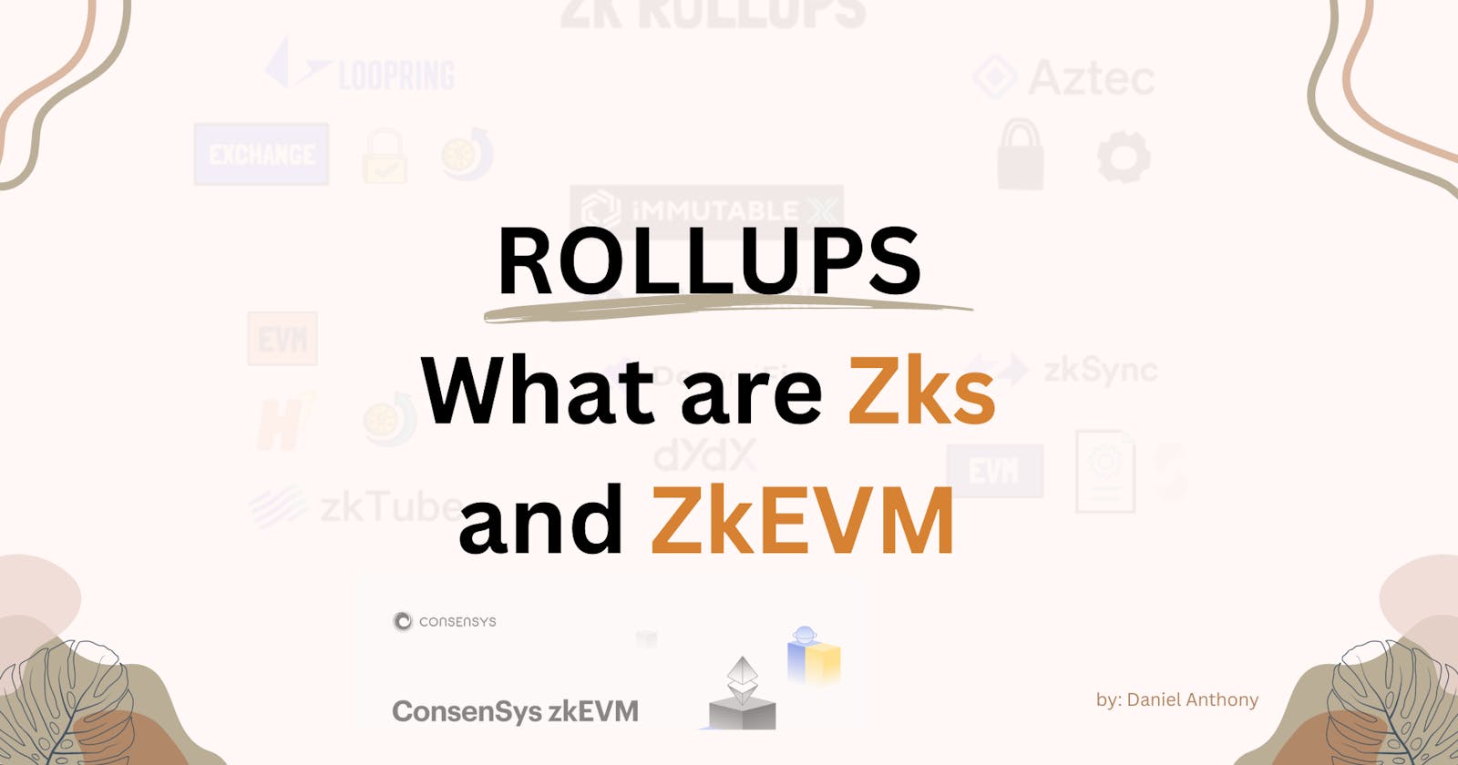 Rollups:  Zk or ZkEVM?