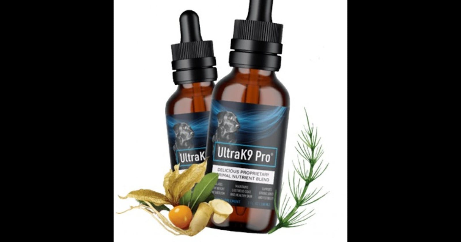 Ultra K9 Pro - Results, Price, Reviews, Benefits & Ingredients?
