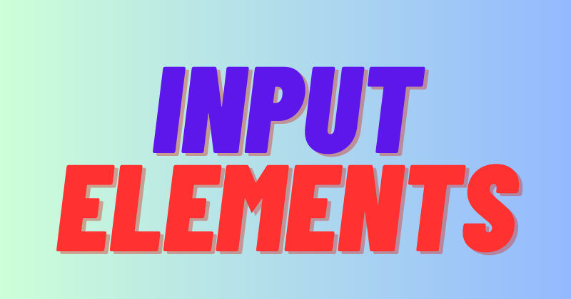 Input Elements in HTML