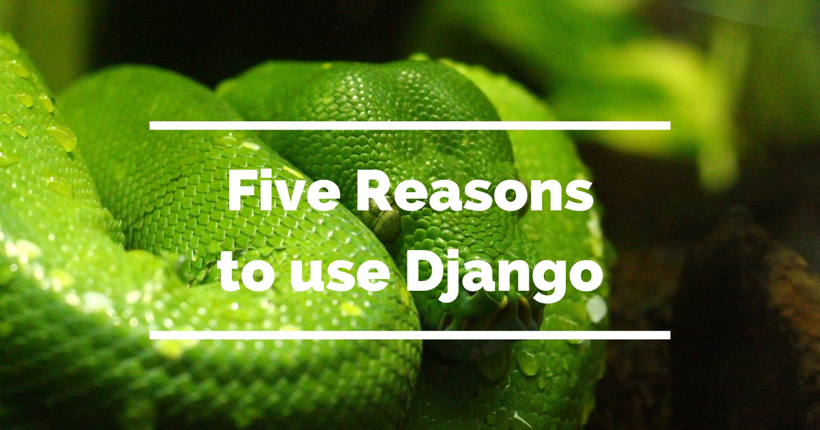 Five Reasons to use Django: How it Can Improve Your Web Development Projects