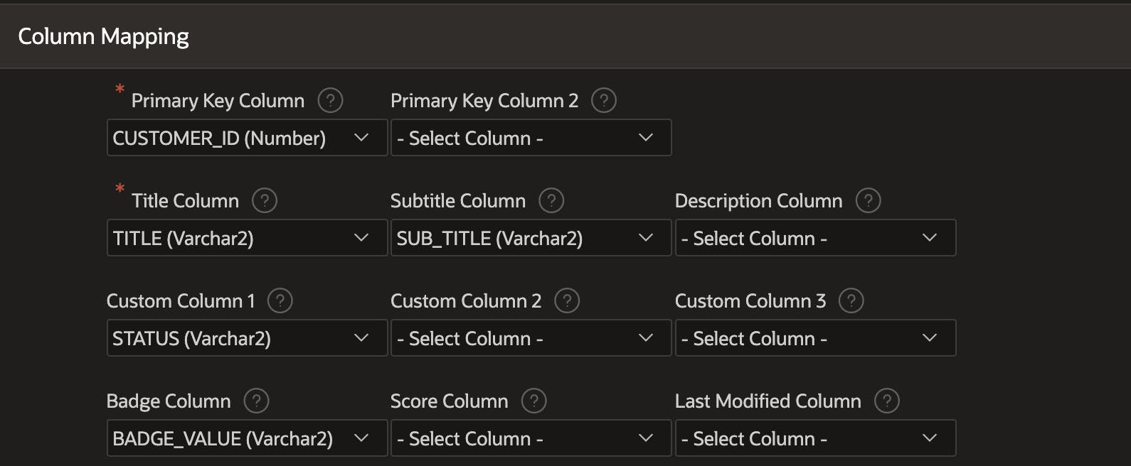 APEX Application Search Configuration 3 Column Mapping