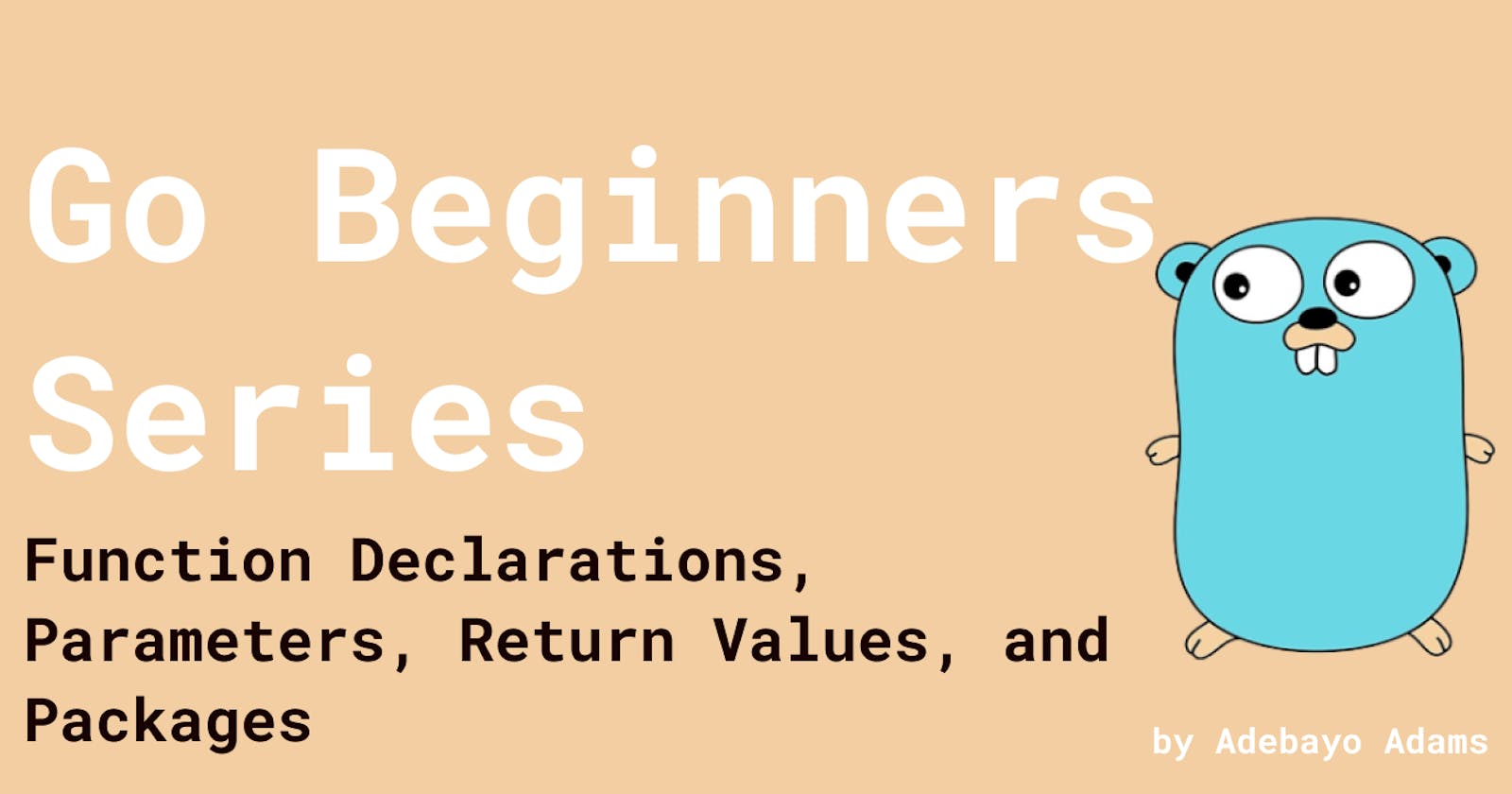 Go Beginners Series: Function Declarations, Parameters, Return Values, and Packages