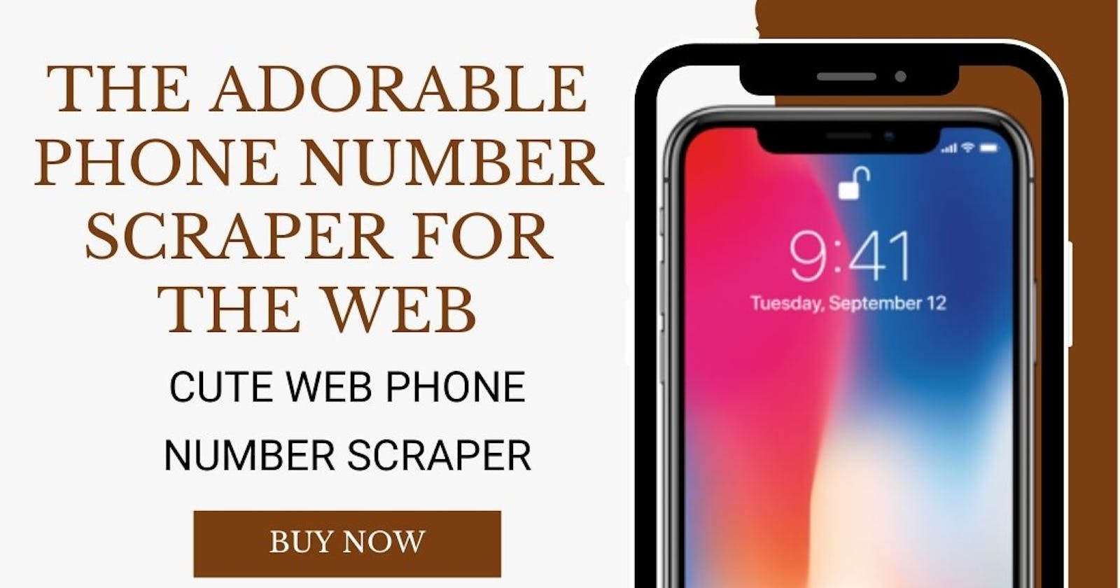 An Affordable Phone Number Scraper For The Websites