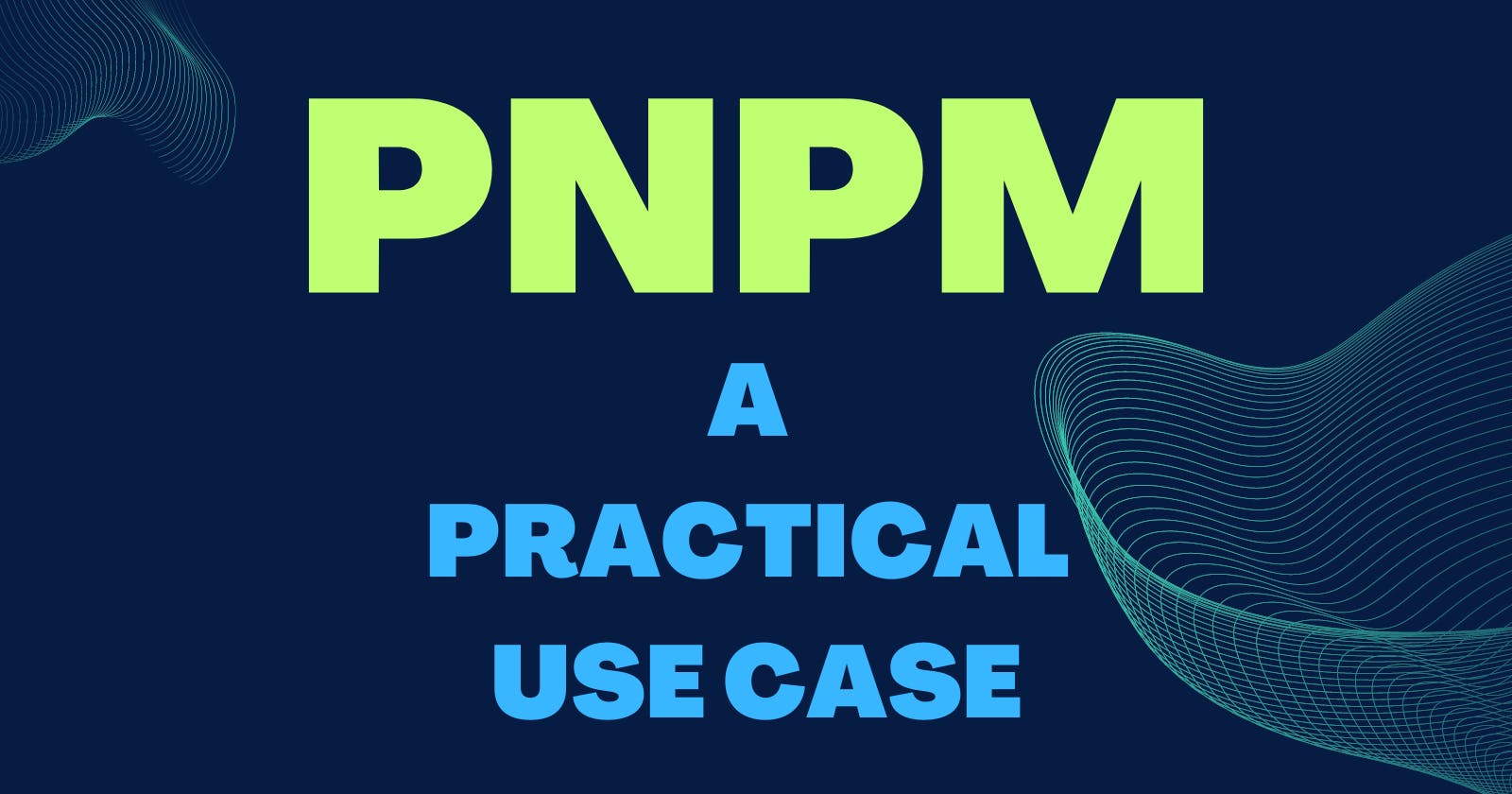 PNPM: A Practical Use Case