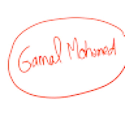 Gamal MOHAMED