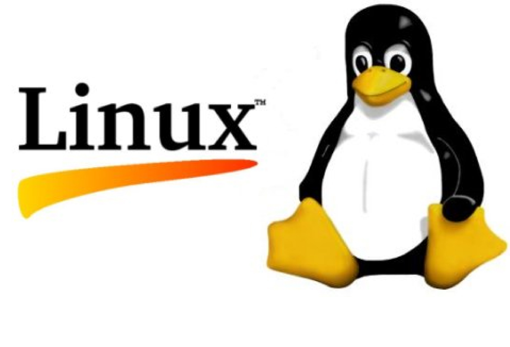 Basic Linux Commands