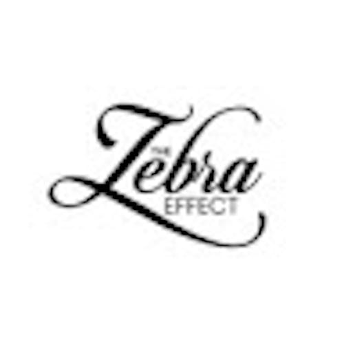 The Zebra Effect's blog
