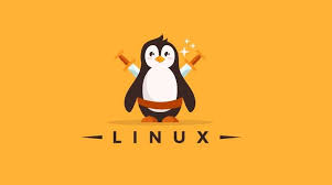 Day 2 Task: Basic Linux commands